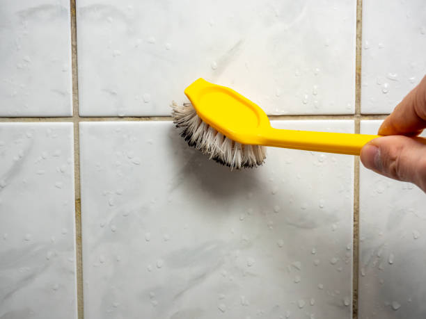 Best Mold Remediation Services  in Saratoga, WY