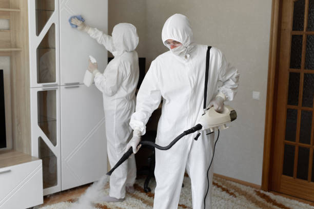 Best Home Mold Removal  in Saratoga, WY